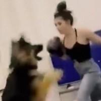 Femme boxe chien